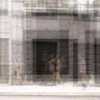 25. Passing By I.jpg