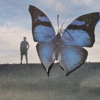 64. Selfie With Butterfly.jpg