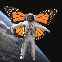 66. Lift Off.jpg