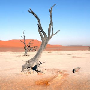 bild001.jpg