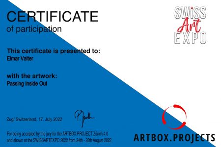 Certificate_Passing Inside Out_B2JeHIQuqrok7U0z5ToI.jpeg