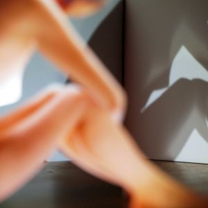 P3234742.jpg