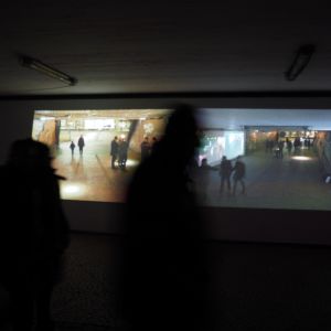 PB051120.JPG